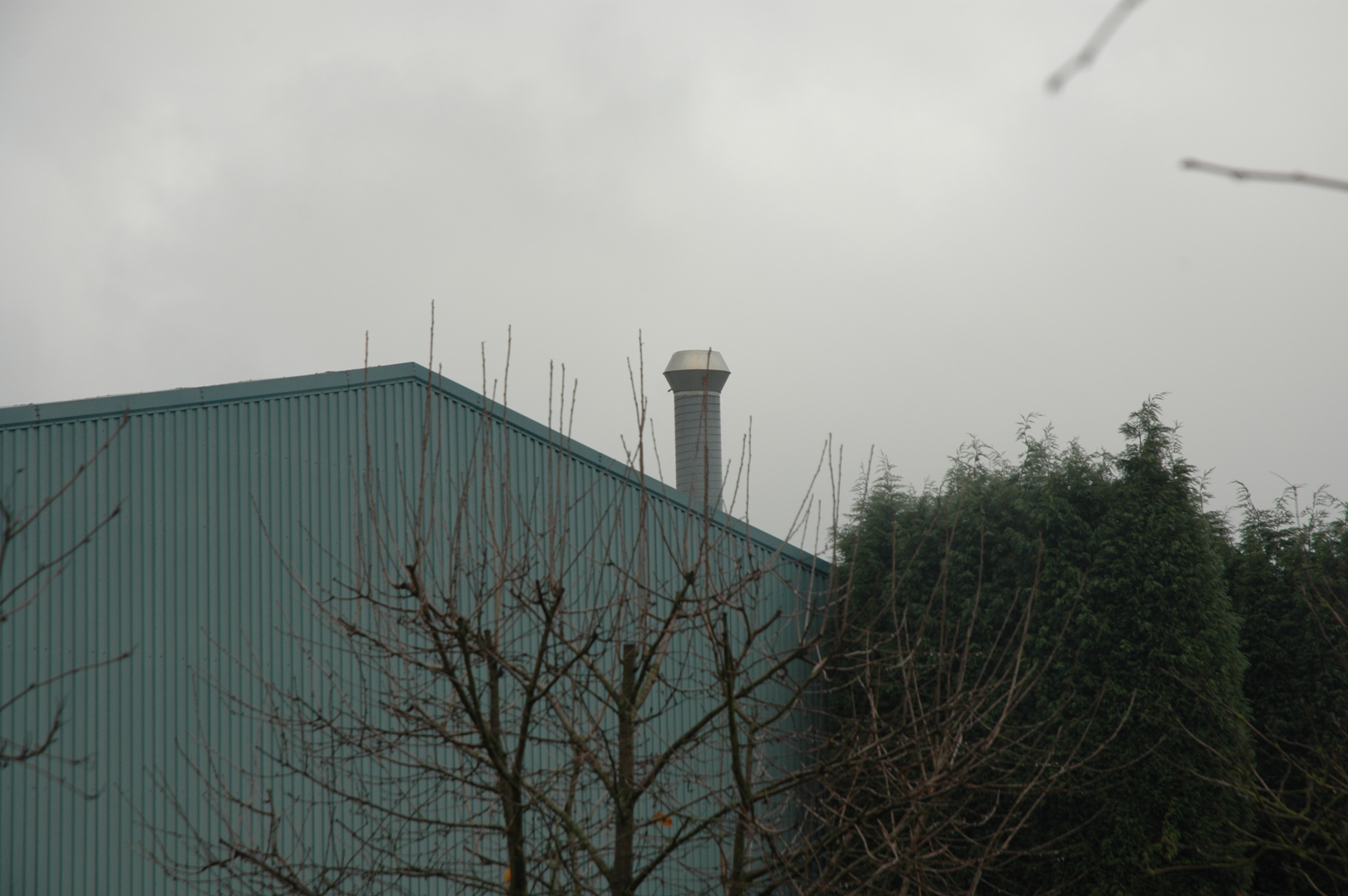 DSC5249.JPG